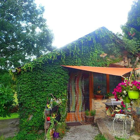 Mas De La Boheme - L'Hermet Saint-Léons Exterior foto